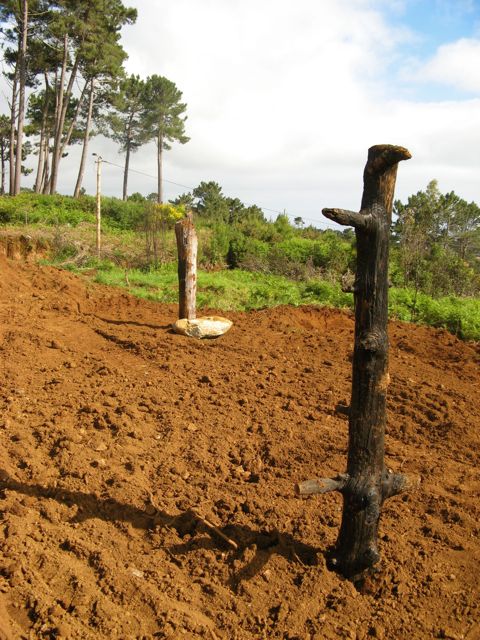 Pierwsze prace na zeszlorocznym palenisku