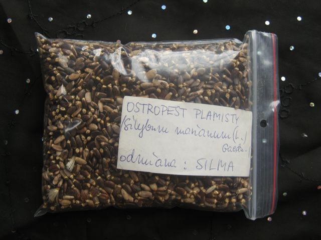 IMG_2548 Nasiona do Magicznej Oazy