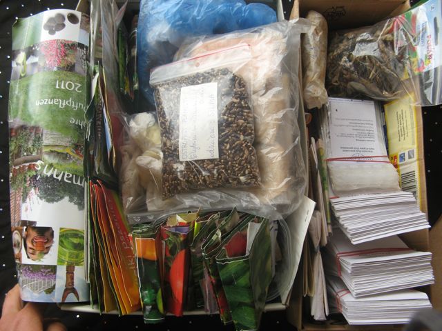 IMG_2549 Nasiona do Magicznej Oazy