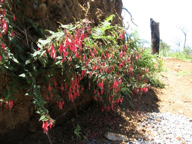 Magiczna Oaza Marii Bucardi