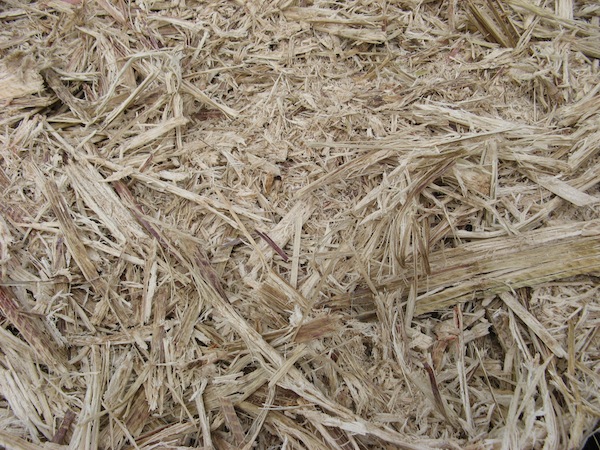 Wytloki z trzciny cukrowej - zblizenie - wypelnienie kopca 