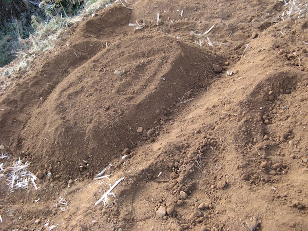 Kopiec po wypelnieniu - gotowy do sadzenia i siania roslin