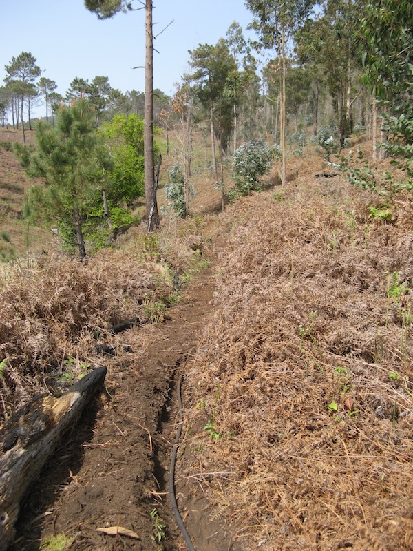 Magiczna Oaza Marii Bucardi