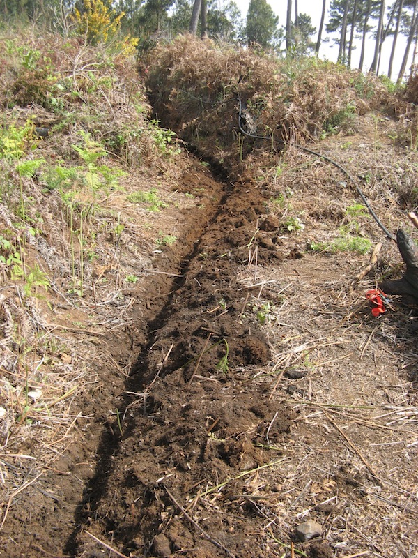 Magiczna Oaza Marii Bucardi