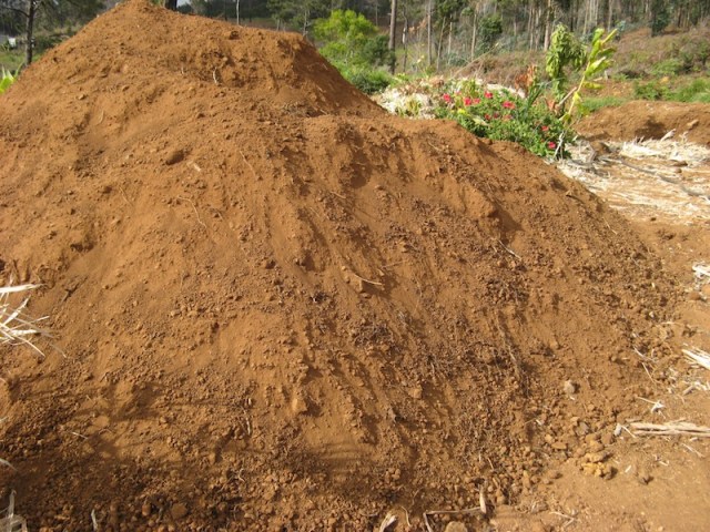 Przygotowana gleba - usuniete korzenie trawy afrykanskiej