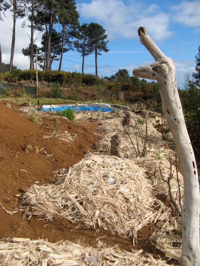 Istota Natury - inne wkrotce otrzymaja swoje miejsce