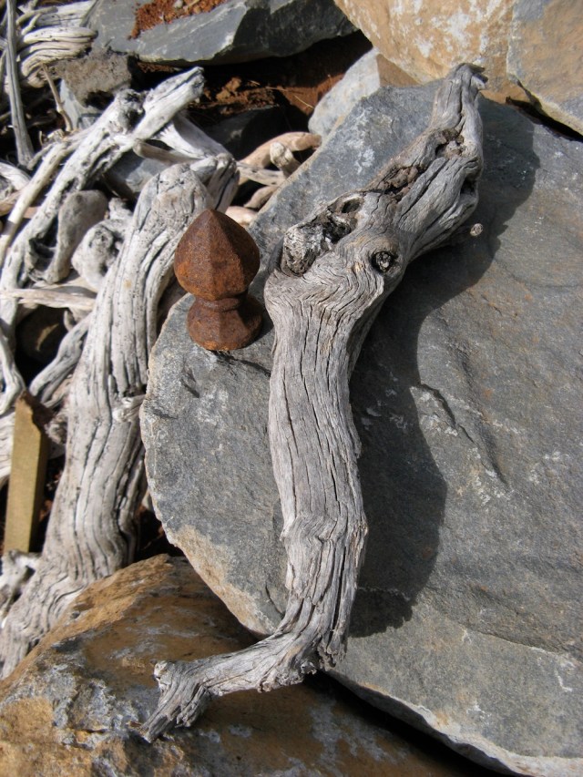 Istoty Natury czekaja na swoje miejsce - ludzie pala tak cudowne drewno w piecu!