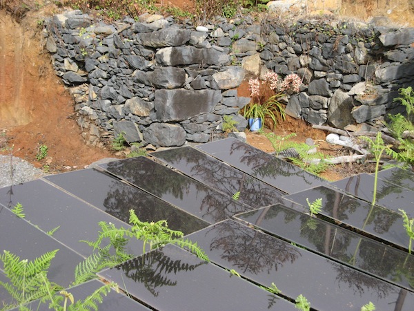 Magiczna Oaza Marii Bucardi