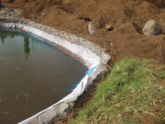 Przygotowania - plewienie trawy afrykanskiej, ktorej korzenie siegaja 1,60 m!!!