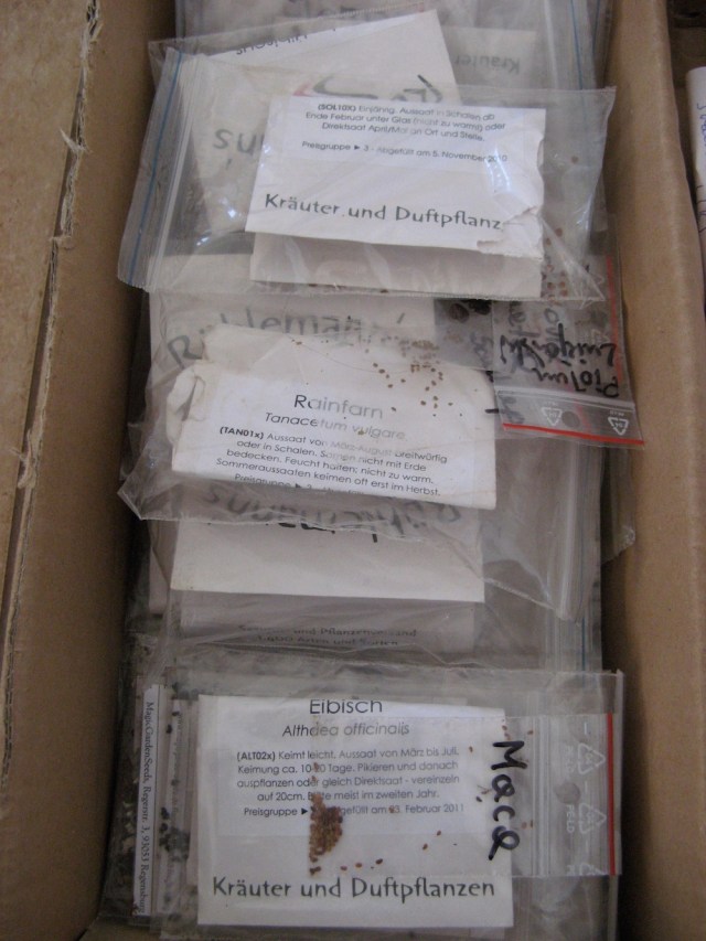 Kilka uratowanych nasionek