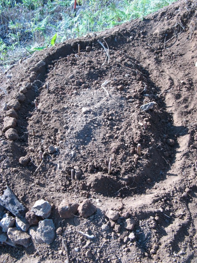 Maliny - Magiczna Oaza wrozki Marii Bucardi