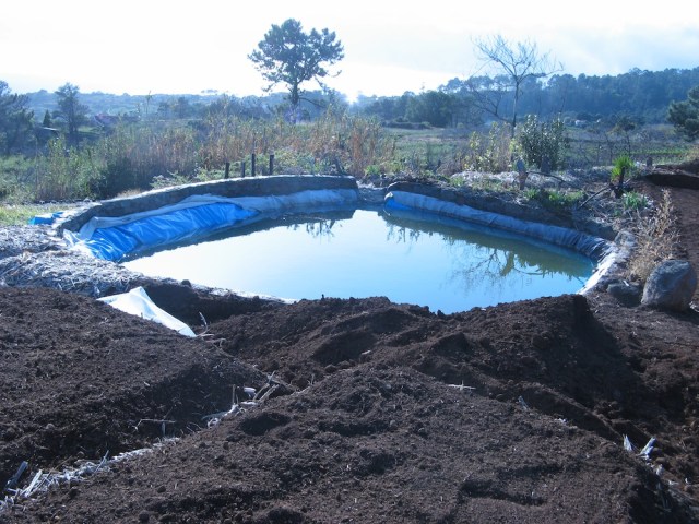 Kopce  - Magiczna Oaza wrozki Marii Bucardi jak zmienic pustynie w ogrod dla Matki Ziemi