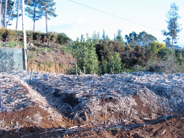 Kopce na rosliny jednoroczne - Magiczna Oaza wrozki Marii Bucardi