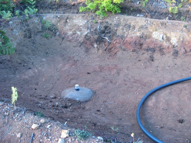 Magiczna Oaza wrozki Marii Bucardi jak zmienic pustynie w ogrod dla Matki Ziemi