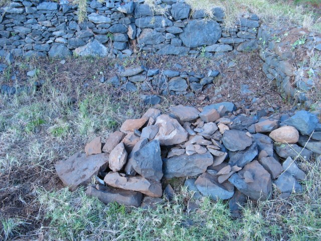 Tak wyglada jeszcze nie gotowy odcinek Magicznej Oazy