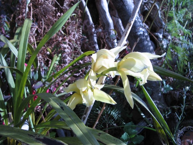 Magiczna Oaza dla Matki Ziemi - Maria Bucardi terapeutka Mistrzyni Magii