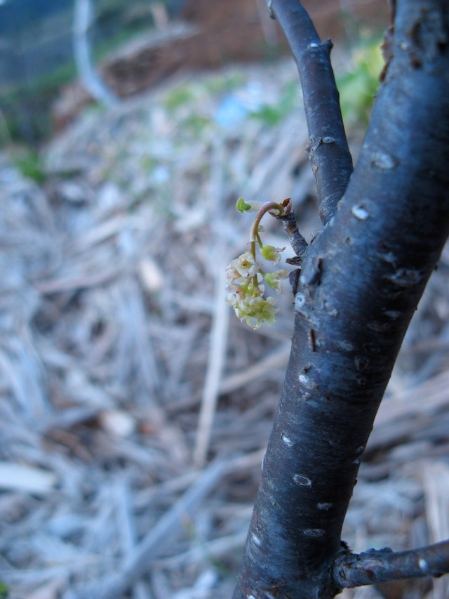 Magiczna Oaza dla Matki Ziemi - Maria Bucardi terapeutka Mistrzyni Magii