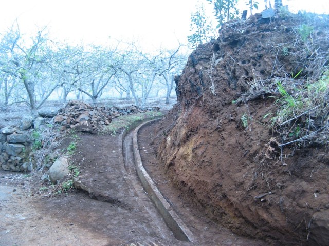 Magiczna Oaza terapeutki jasnowidza Marii Bucardi