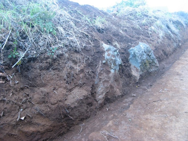 Magiczna Oaza terapeutki jasnowidza Marii Bucardi