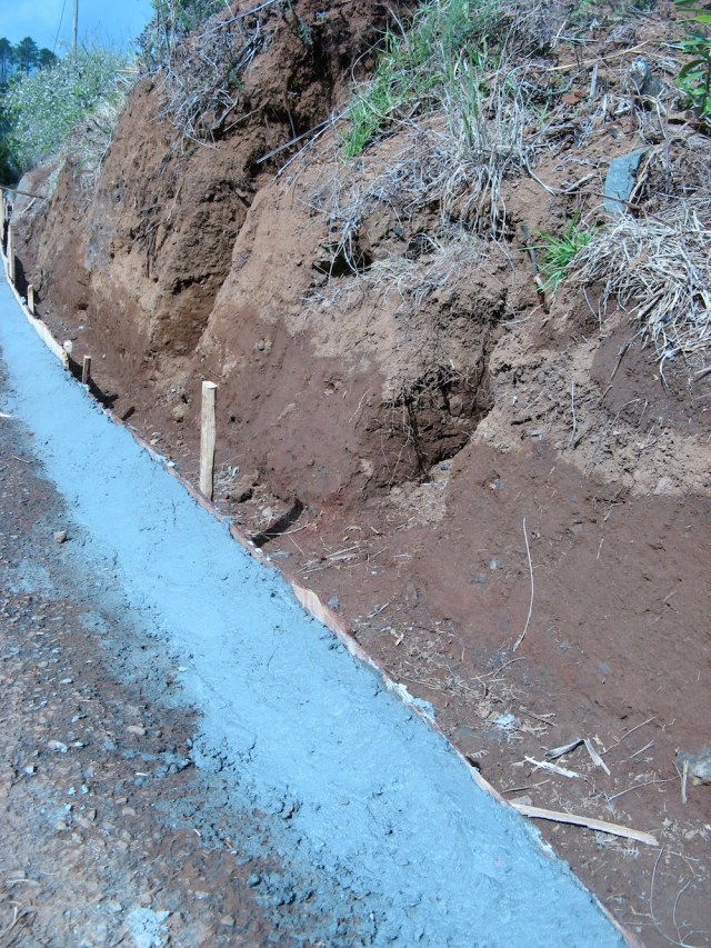 Magiczna Oaza wrozki Marii Bucardi