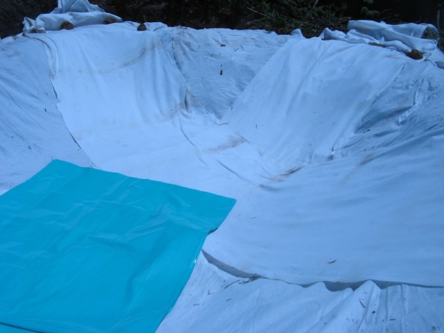 Magiczna Oaza terapeutki jasnowidza Marii Bucardi