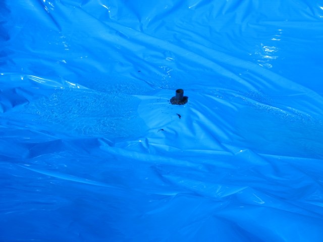 Magiczna Oaza terapeutki jasnowidza Marii Bucardi