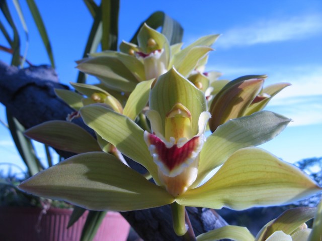 Magiczna Oaza dla Matki Ziemi – Maria Bucardi terapeutka Mistrzyni Magii