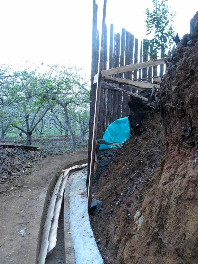 Magiczna Oaza wrozki Marii Bucardi