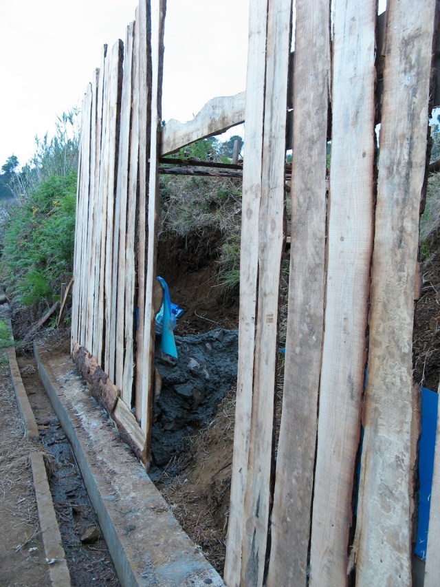 Magiczna Oaza terapeutki jasnowidza Marii Bucardi