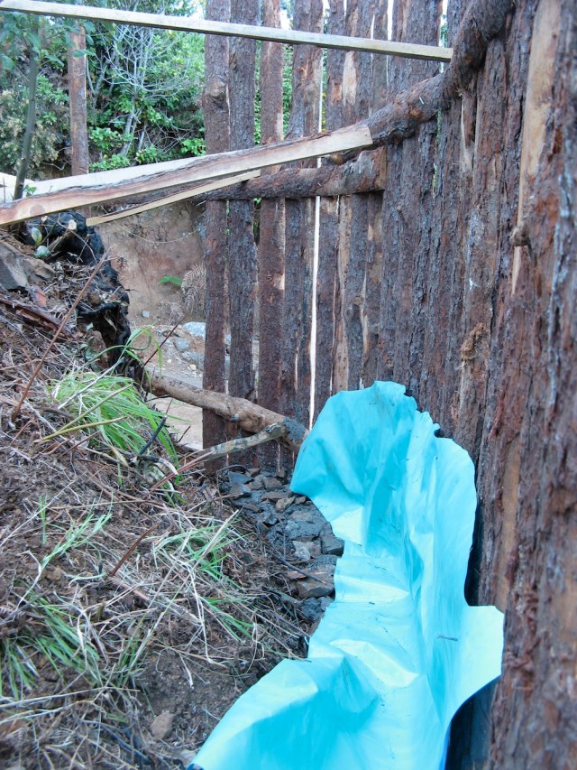 Magiczna Oaza wrozki Marii Bucardi