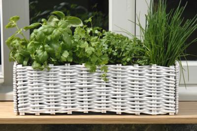 Permakultura Warzywa Kwiaty Owoce w miescie na balkonie, na oknie, na parapecie  -  tak, to mozliwe