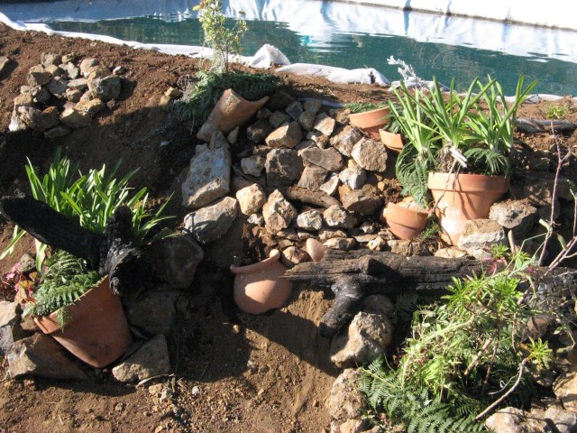 Magiczna Oaza czyli weganska permakultura Marii Bucardi