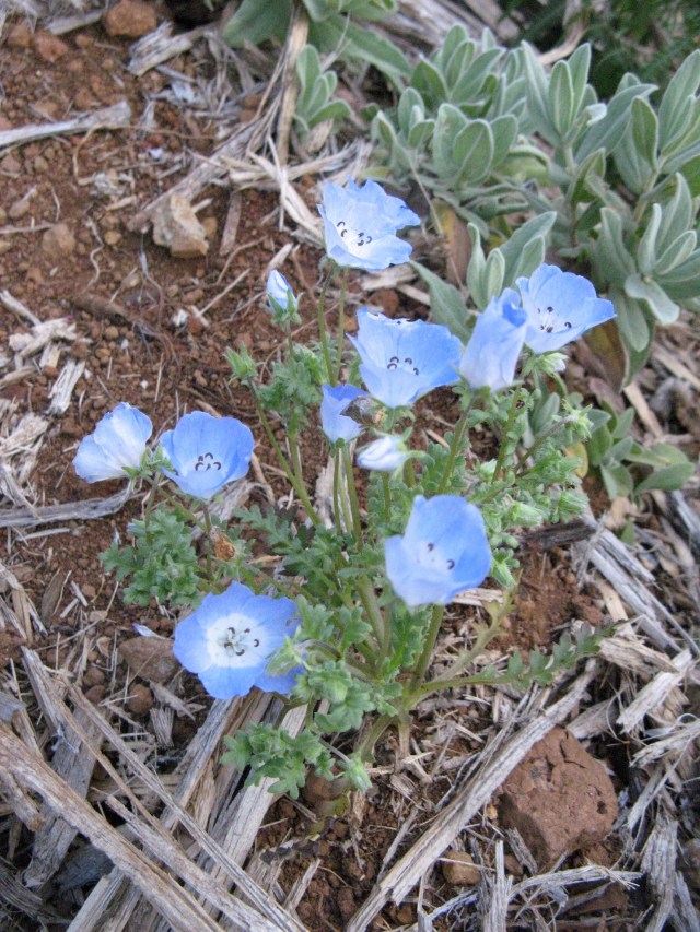 Magiczna Oaza Marii Bucardi