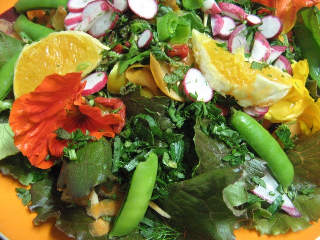 Salatka weganska - Salatka weganska - Magiczna Oaza Permakultura Ogrod BEZ Chemii ekologiczny Marii Bucardi