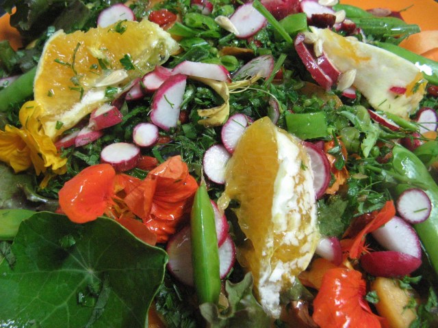 Salatka weganska - Salatka weganska - Magiczna Oaza Permakultura Ogrod BEZ Chemii ekologiczny Marii Bucardi