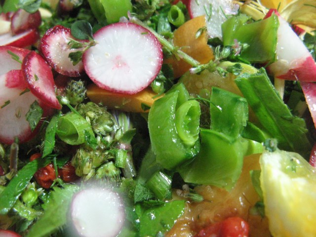 Salatka weganska - zdjecie aury - Magiczna Oaza Permakultura Ogrod BEZ Chemii ekologiczny Marii Bucardi