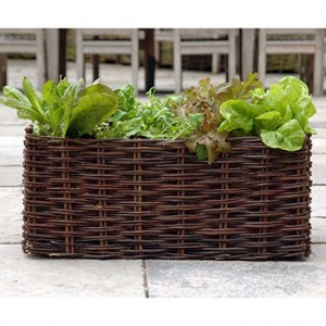 Permakultura Warzywa Kwiaty Owoce w miescie na balkonie, na oknie, na parapecie  -  tak, to mozliwe