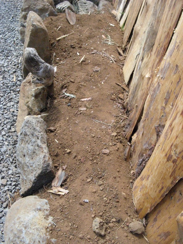 Magiczna oaza weganki wrozki Marii Bucardi