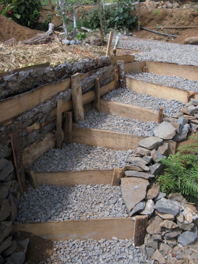 Magiczna oaza weganki wrozki Marii Bucardi