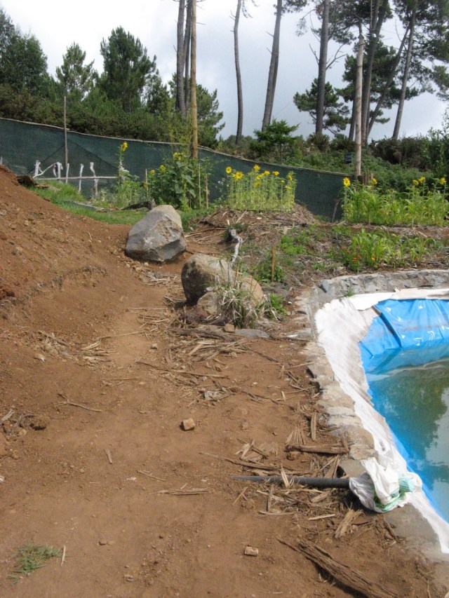 Magiczna oaza weganki wrozki Marii Bucardi