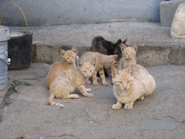 Magiczna Oaza - dzien edukacyjny - blog Marii Bucardi