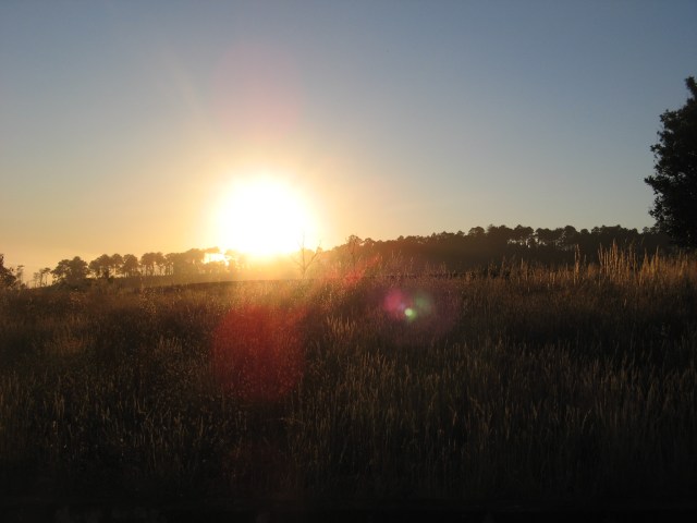 Magiczna Oaza - dzien edukacyjny - blog Marii Bucardi