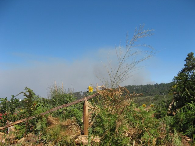 Pozar - Magiczna Oaza Ogrod Matki Ziemi blog Marii Bucardi