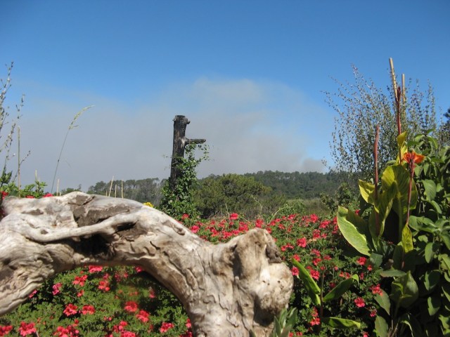 Pozar - Magiczna Oaza Ogrod Matki Ziemi blog Marii Bucardi