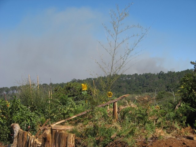 Pozar - Magiczna Oaza Ogrod Matki Ziemi blog Marii Bucardi