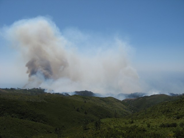 Pozar - Magiczna Oaza Ogrod Matki Ziemi blog Marii Bucardi