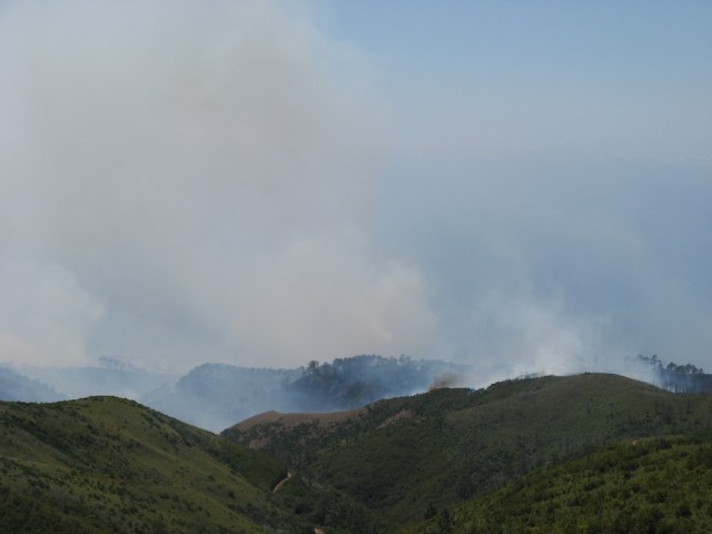 Pozar - Magiczna Oaza Ogrod Matki Ziemi blog Marii Bucardi