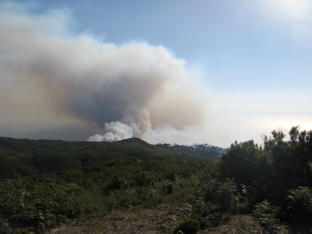 Pozar - Magiczna Oaza Ogrod Matki Ziemi blog Marii Bucardi