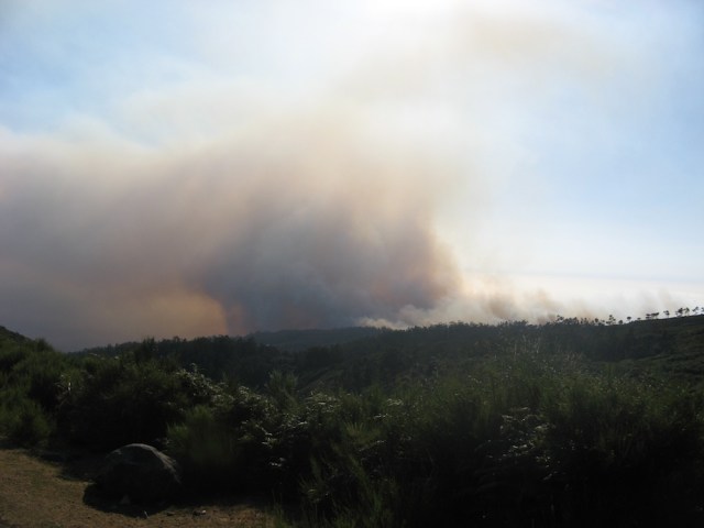 Pozar - Magiczna Oaza Ogrod Matki Ziemi blog Marii Bucardi