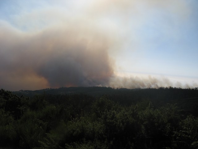 Pozar - Magiczna Oaza Ogrod Matki Ziemi blog Marii Bucardi